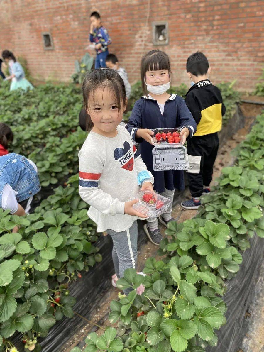 CP31漫展攻略：如何拼好一番精彩之旅？